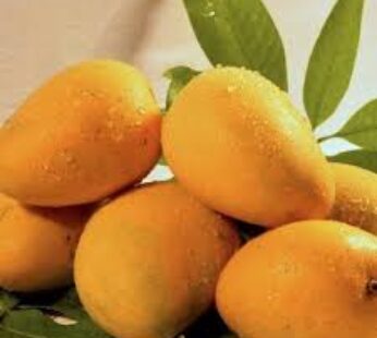 Himayat mangoes