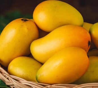 Kesar Mango