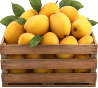 Assorted Mango Box 3kg